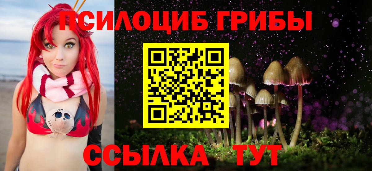 Нововоронеж  Галлюциногенные грибы мухоморы  Вход с VPN  Псилоцибиновые грибы ЛСД 